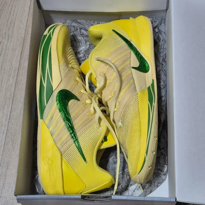 [BUNJANG] Nike Sabrina 2 Oregon Ducks Men&