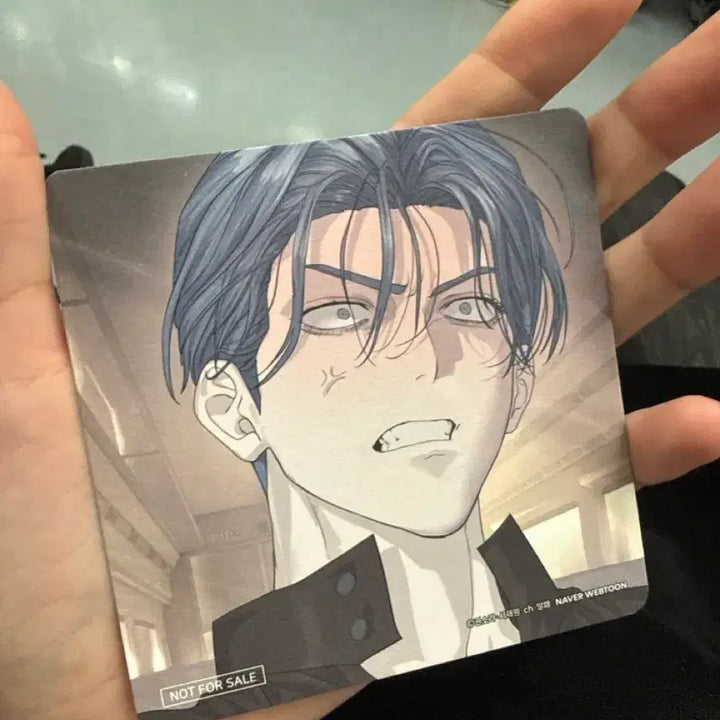 [BUNJANG] Sunwoo Eden Coaster / 선우이든 코스터 판매