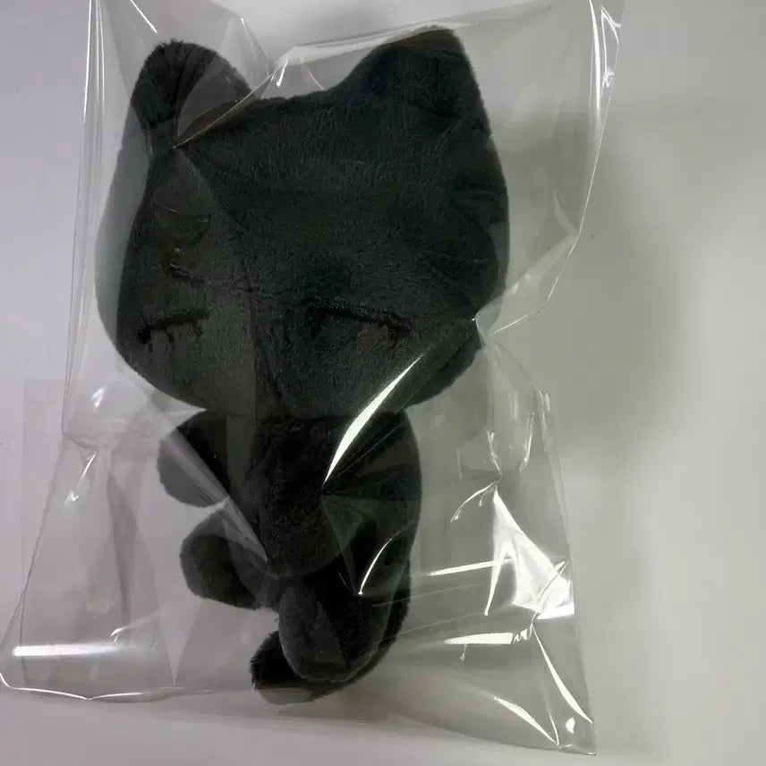 [BUNJANG] BOYNEXTDOOR Taesan Doll Nupnyako / 보넥도 태산 인형 눕냐코