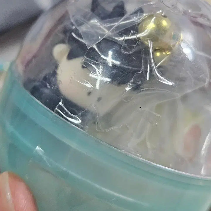 [BUNJANG] Jujutsu Kaisen Fushiguro Megumi Kitancollect Gacha Sealed / 주술회전 후시구로 메구미 키탄클럽 가챠 미개봉