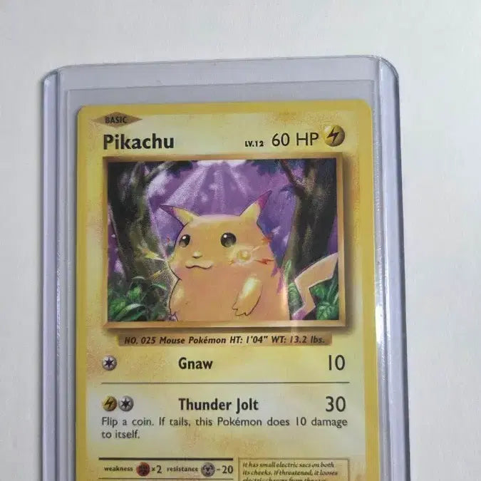 [BUNJANG] Pikachu 2016 North America / 피카츄 북미 2016년