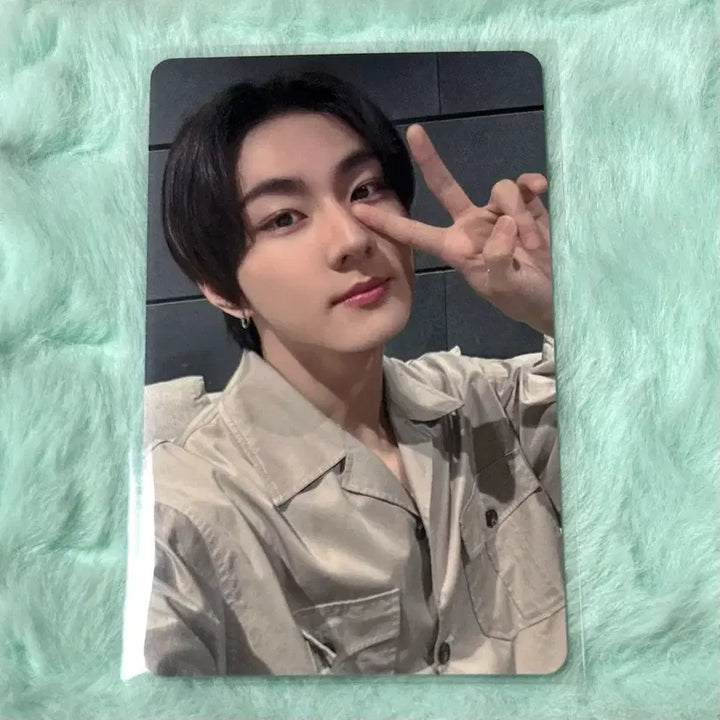 [BUNJANG] ENHYPEN Tour ENNIZONE Jungwon Photocard / 엔하이픈 투어 엔진존 정원 포카 양도 웤더라인 재팬