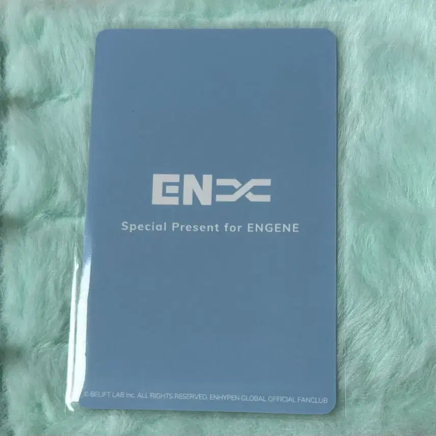 [BUNJANG] ENHYPEN Tour ENNIZONE Jungwon Photocard / 엔하이픈 투어 엔진존 정원 포카 양도 웤더라인 재팬