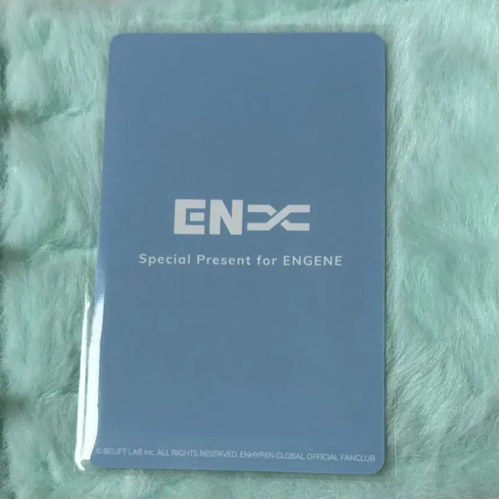 [BUNJANG] ENHYPEN Tour ENNIZONE Jungwon Photocard / 엔하이픈 투어 엔진존 정원 포카 양도 웤더라인 재팬