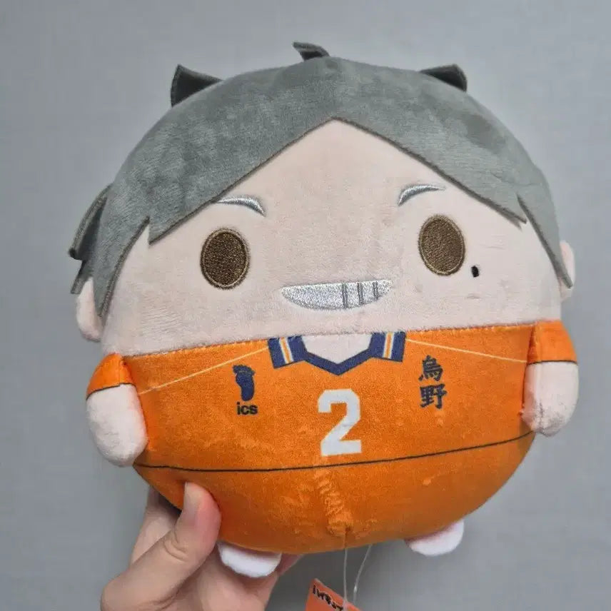 [BUNJANG] Sugawara FuwaKororin M Size (Reprint) Plush / (택O) 스가와라 후와코로링 M사이즈
