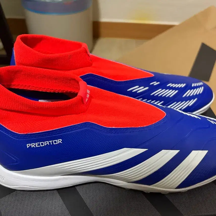 [BUNJANG] Adidas Predator Futsal Shoes / 아디다스 프레데터 풋살화