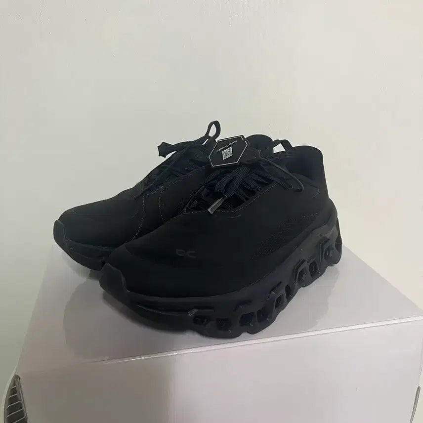 [BUNJANG] Onrunning PAPH 220 Size Sneakers / 온러닝파프220