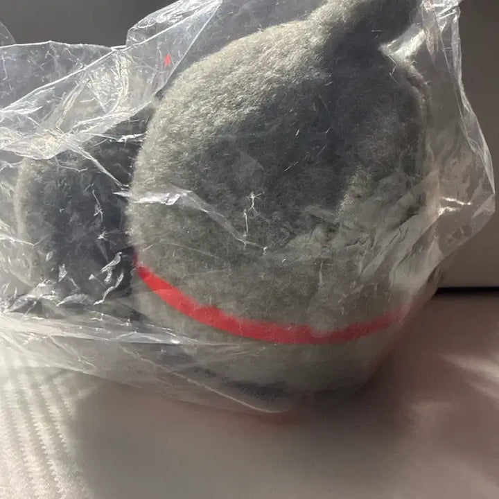 [BUNJANG] Chiikawa Usagi Mogu Mogu Plush Doll / 치이카와 모구모구 우사기 인형 누이혼포 후시미점