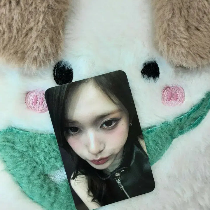 [BUNJANG] IVE Yseo Naver Store Close-up Photocard / 아이브 이서 네이버스토어 얼빡 포카