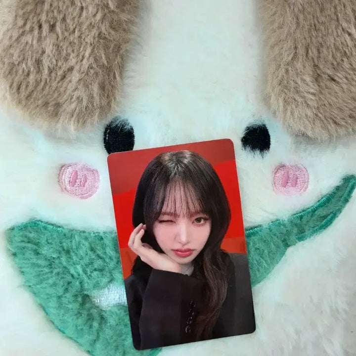 [BUNJANG] IVE Liz Naver Store POB Photocard / 아이브 리즈 네이버스토어 특전