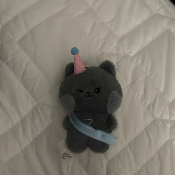 [BUNJANG] ZB1 (ZEROBASEONE) UNNNI Home Party Mini Plush / 제베원 제로니 웅니니 홈파티 미니 인형