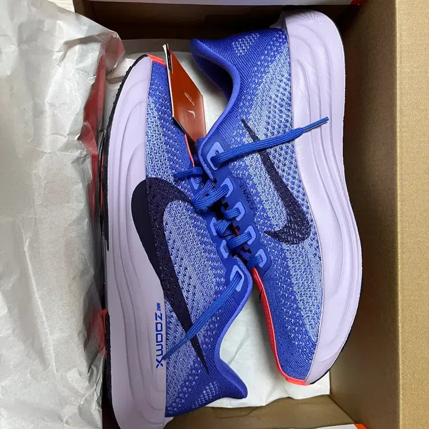 [BUNJANG] Nike Pegasus Women&