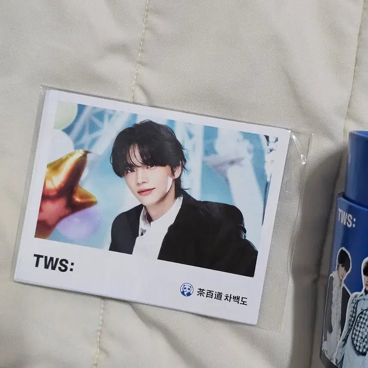 [BUNJANG] TWS Baekdo Collaboration Photocard Set + Sleeves / 투어스TWS 차백도 콜라보 포토카드세트+슬리브