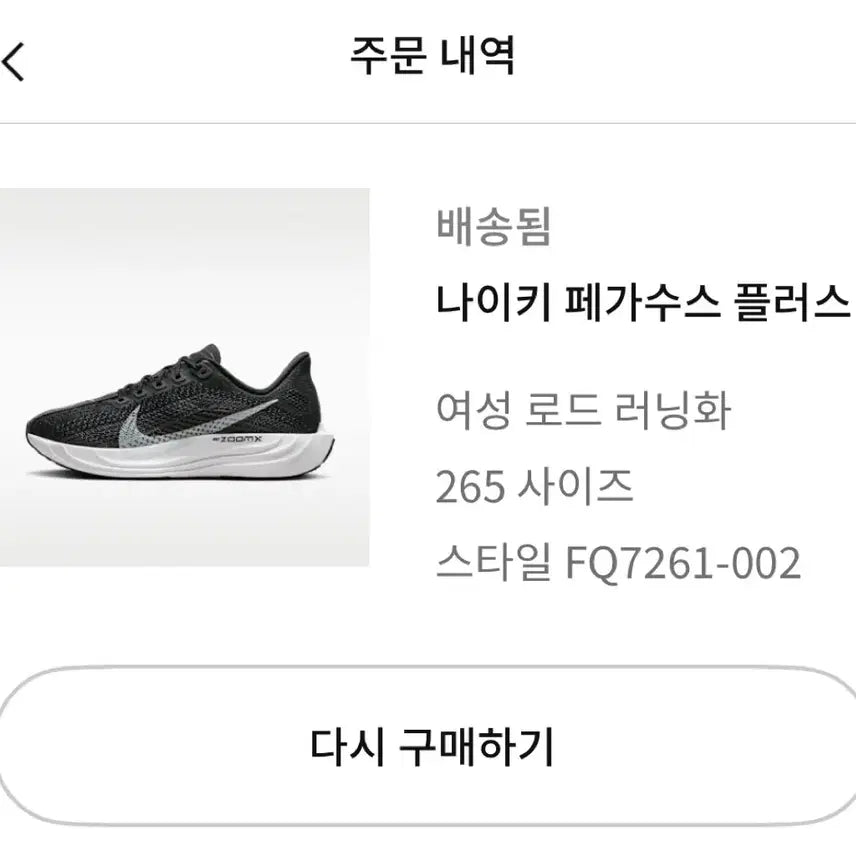 [BUNJANG] Nike Pegasus Plus Women&