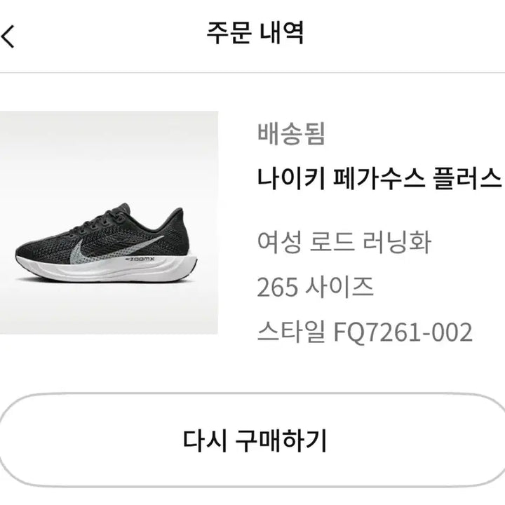 [BUNJANG] Nike Pegasus Plus Women&