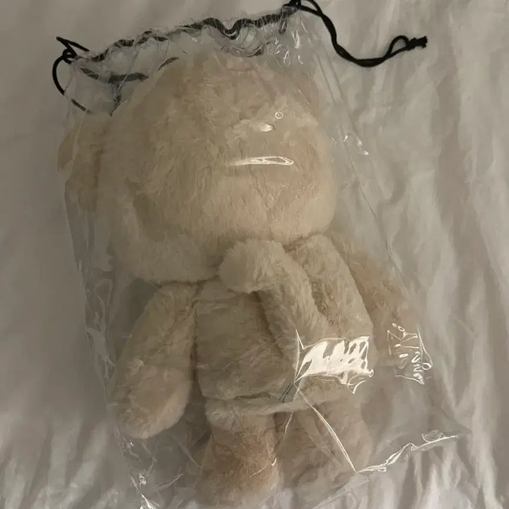 [BUNJANG] Cheetari 40cm Plush Doll (Dust Bag Included) / 왕치타리 왕타리 치타리 40cm 더스트백o 마크 인형