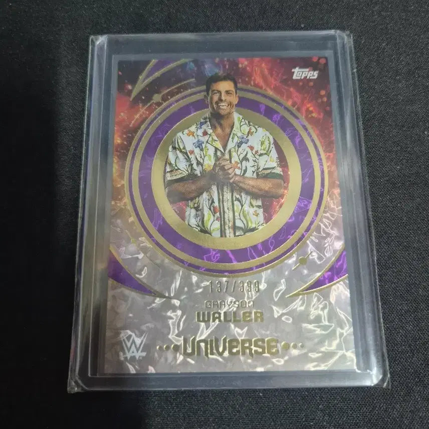 [BUNJANG] WWE Grayson Waller Purple Glass 399 Limited Edition / [WWE] 그레이슨 월러 퍼플 글라스 399한정
