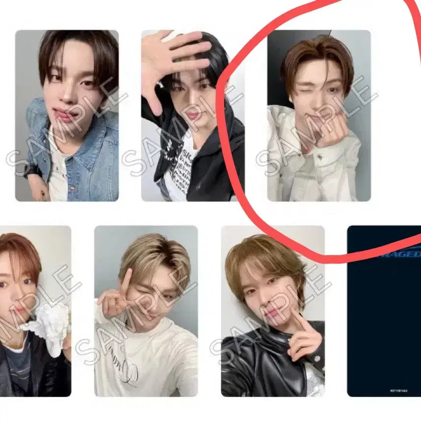 [BUNJANG] TWS NO TRAGEDY Japan Lucky Draw Photocard Youngjae / 투어스 hybe music group store 럭드 영재 포카 팔아요