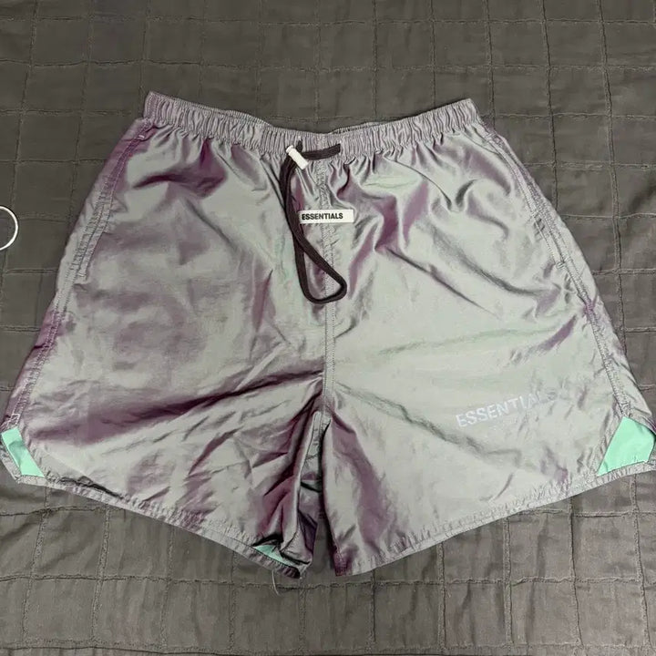 [BUNJANG] Fear of God ESSENTIALS 20SS Iridescent Volley Shorts / 에센셜 볼리 쇼츠 이리디센트 - 20SS 똥파리 반바지