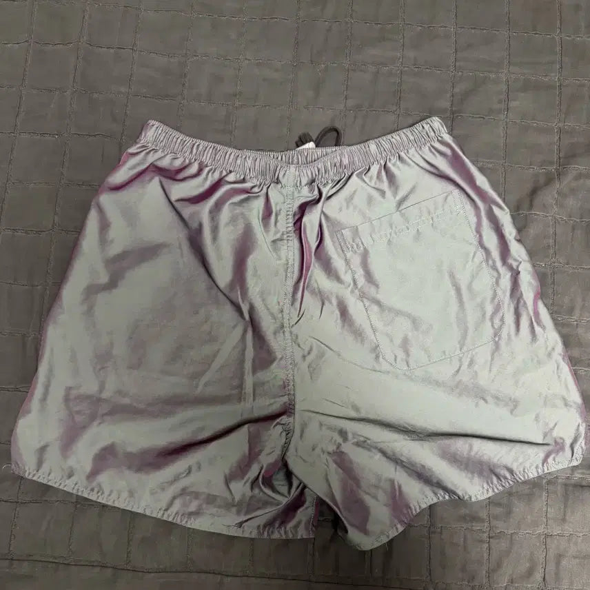 [BUNJANG] Fear of God ESSENTIALS 20SS Iridescent Volley Shorts / 에센셜 볼리 쇼츠 이리디센트 - 20SS 똥파리 반바지