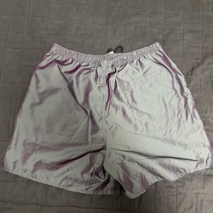 [BUNJANG] Fear of God ESSENTIALS 20SS Iridescent Volley Shorts / 에센셜 볼리 쇼츠 이리디센트 - 20SS 똥파리 반바지
