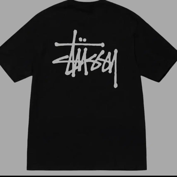 [BUNJANG] Stussy Short Sleeve T-Shirt / 스투시반팔티