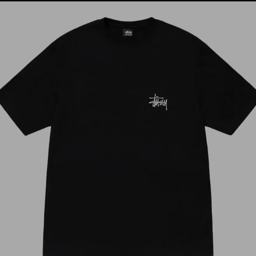 [BUNJANG] Stussy Short Sleeve T-Shirt / 스투시반팔티