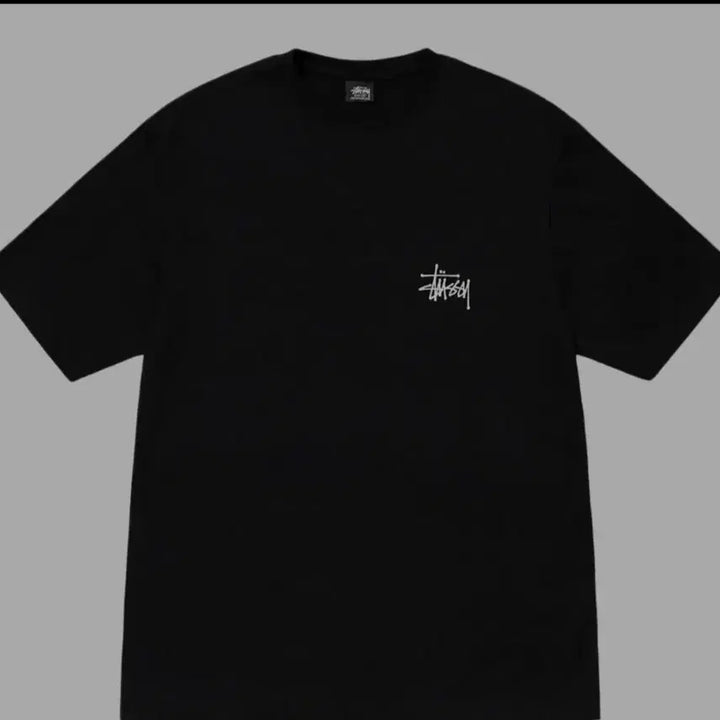 [BUNJANG] Stussy Short Sleeve T-Shirt / 스투시반팔티