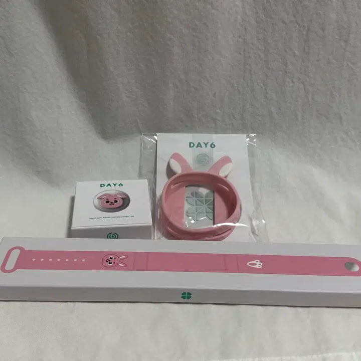 [BUNJANG] DAY6 Wonpil Made Watch Custom Watch / 데이식스 마데워치 필 커스텀 필끼