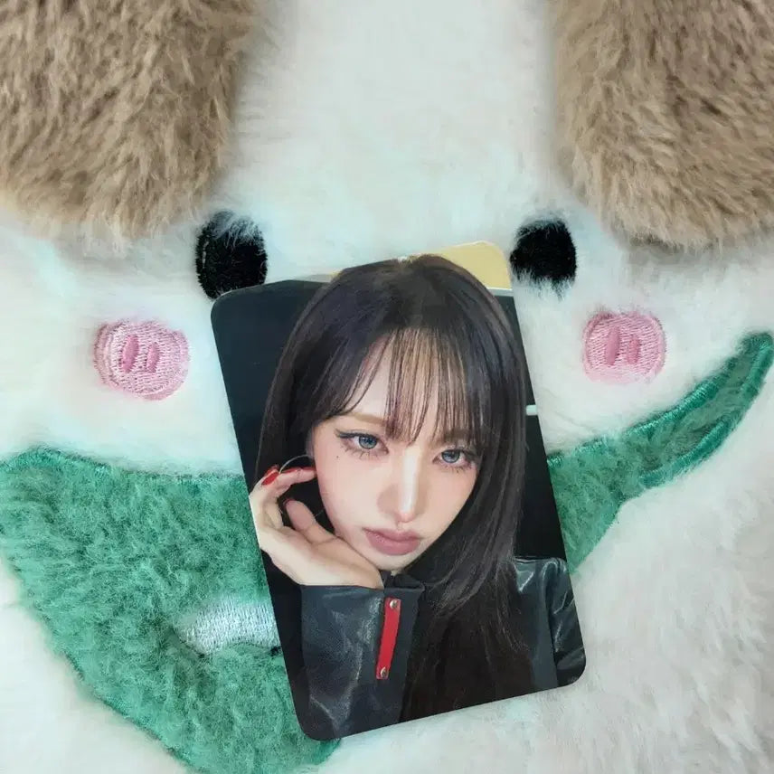 [BUNJANG] IVE Liz Naver Store POB Photocard / 아이브 리즈 네이버스토어 특전