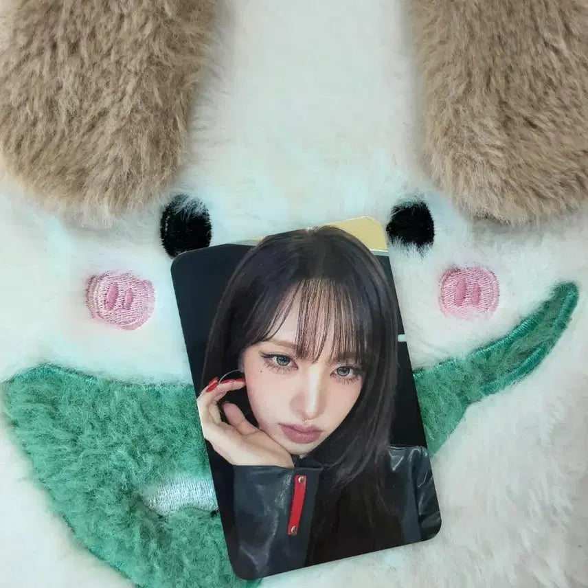 [BUNJANG] IVE Liz Naver Store POB Photocard / 아이브 리즈 네이버스토어 특전