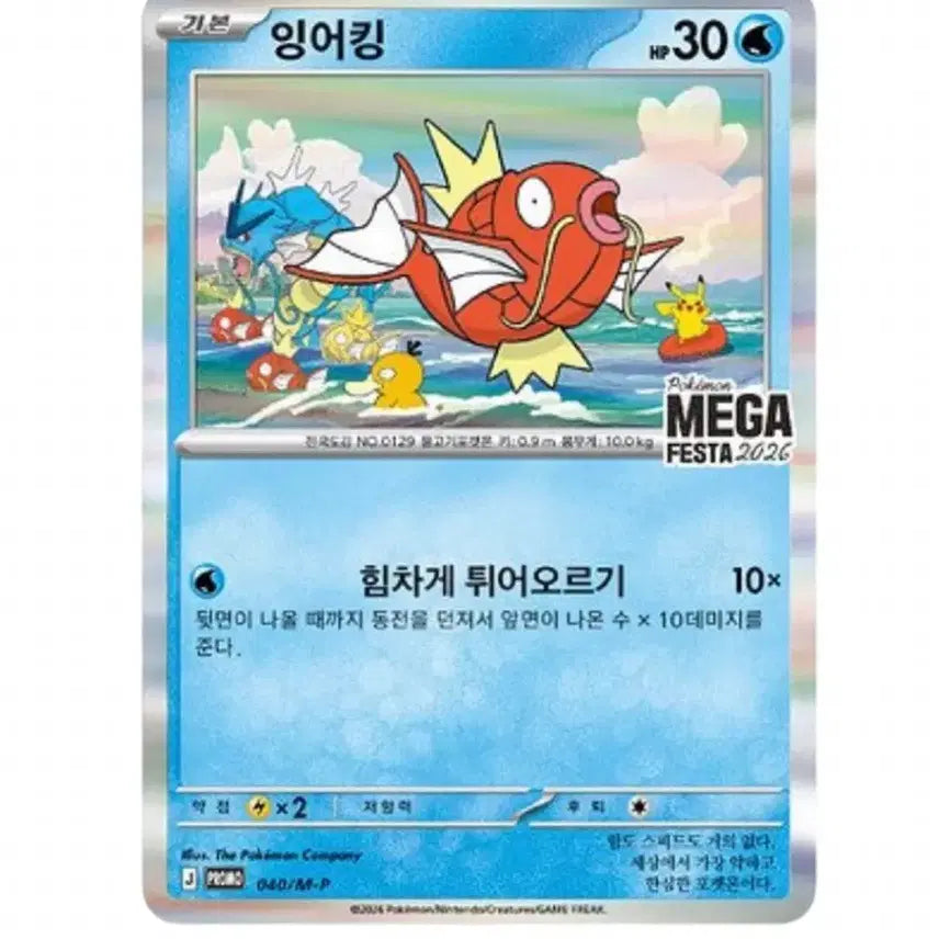 [BUNJANG] Magikarp Promo Card / 2026 잉어킹 프로모