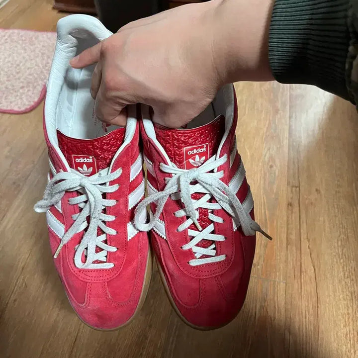 [BUNJANG] Adidas Gazelle Indoor Scarlet / 아디다스 가젤 인도어 스칼렛