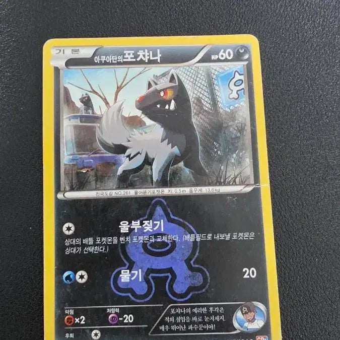 [BUNJANG] Pokemon Card Pochana CP1 / 포켓몬 카드 아쿠아단의 포챠나 cp1