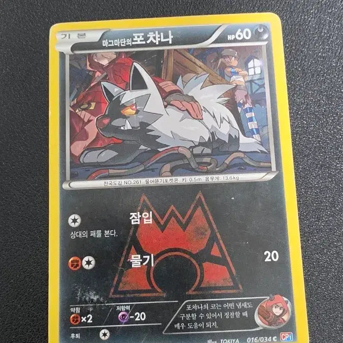 [BUNJANG] Pokemon Card - Magma&