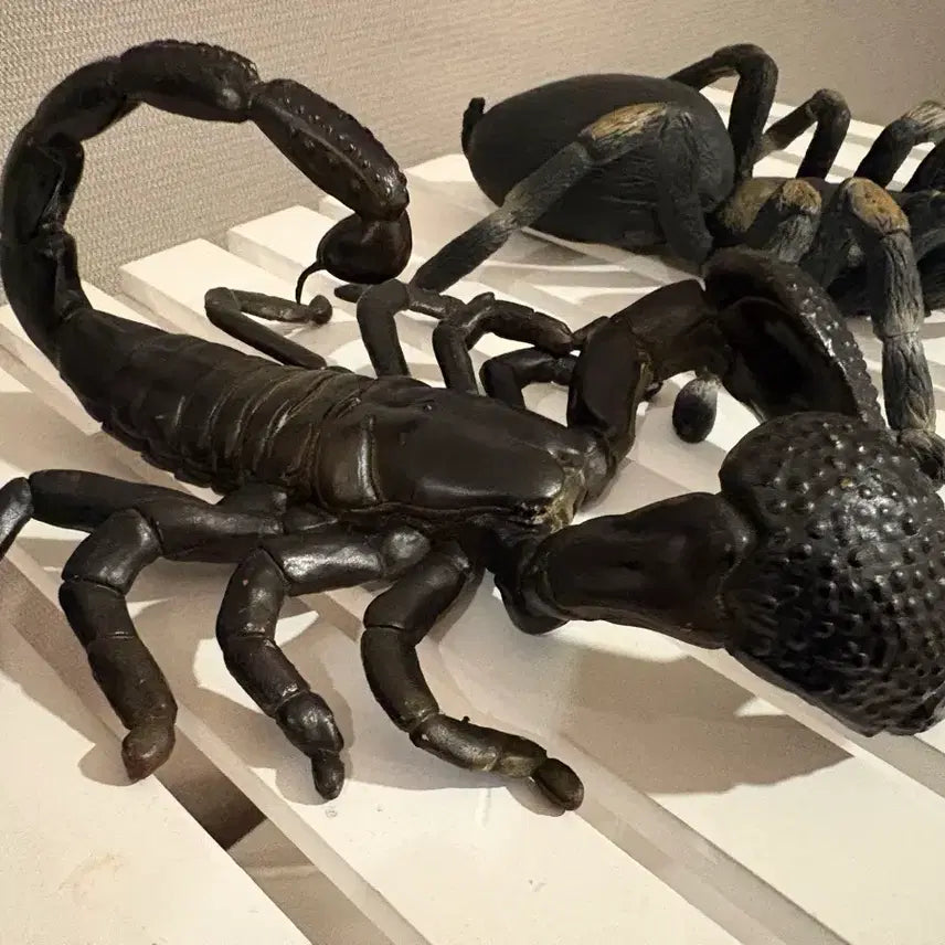 [BUNJANG] Spider and Scorpion Figurines Bundle / 거미/전갈 모형, 곤충모형 일괄 판매:)