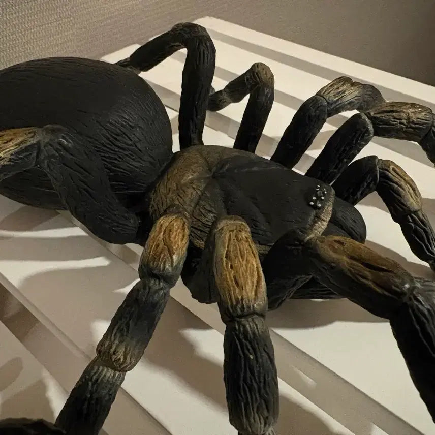 [BUNJANG] Spider and Scorpion Figurines Bundle / 거미/전갈 모형, 곤충모형 일괄 판매:)