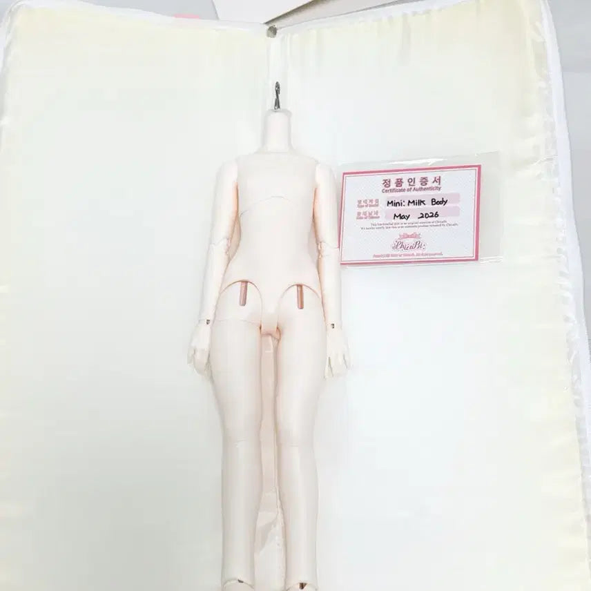 [BUNJANG] Chikabi Mini 41 Milk Skin MSD Body / 치카비 미니41 밀크스킨 msd 바디 판매