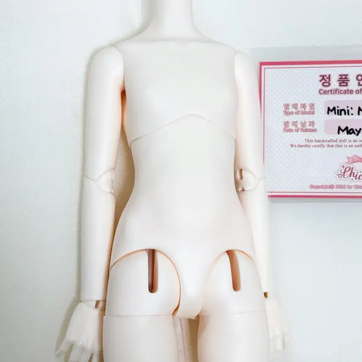 [BUNJANG] Chikabi Mini 41 Milk Skin MSD Body / 치카비 미니41 밀크스킨 msd 바디 판매