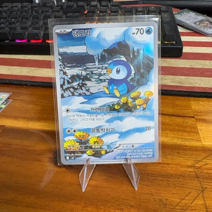 [SOLD OUT] 포켓몬카드 팽도리 ar