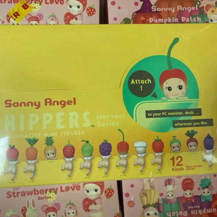 [BUNJANG] Sonny Angel Hipper Harvest 1 Box (12 Blind Boxes) / 소니엔젤 하베스트 히퍼 (박스)