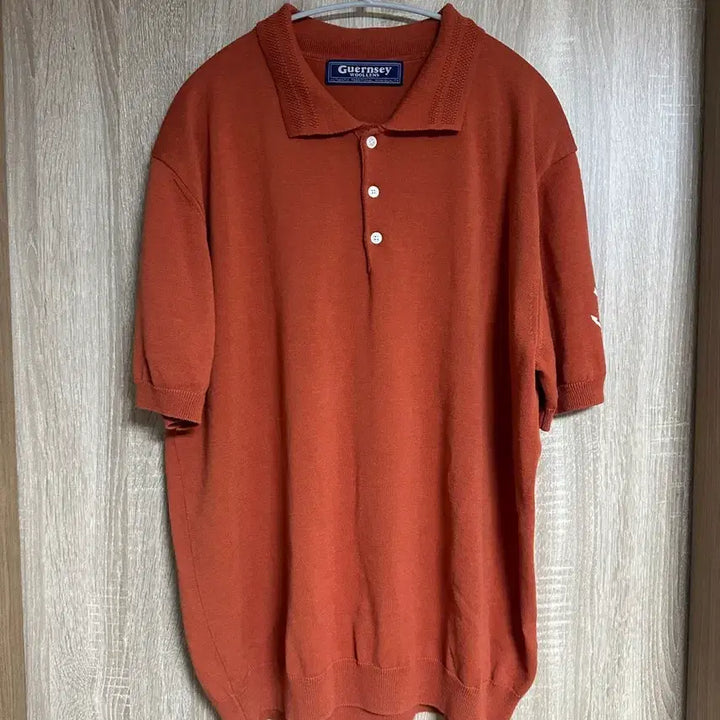 [BUNJANG] Ganzlornes Short Sleeve Polo Knit / 건지울른스 반팔카라니트