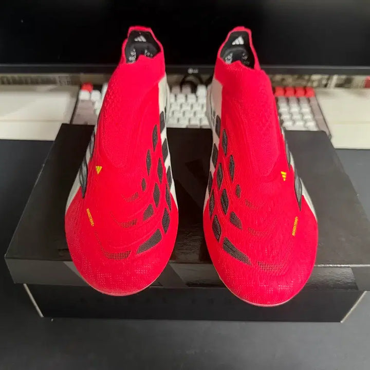[BUNJANG] Adidas Predator 26 Elite LL Size 275 / 아디다스 프레데터26 엘리트 LL 275 사이즈 판매