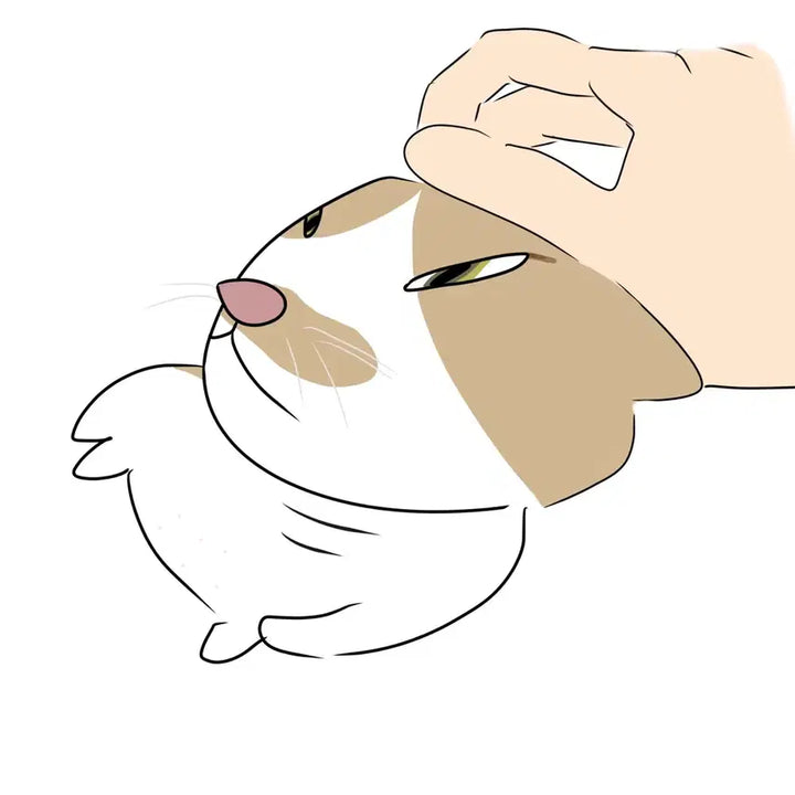 [BUNJANG] Custom "Silly Drawing" Commission / 진짜하찮은그림그려드립니다ㅠㅠ