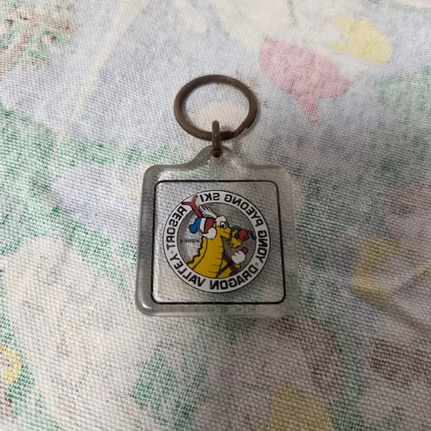 [BUNJANG] 1990s Dragon Valley Yongpyong Ski Resort Keyring / 90s 드래곤 밸리 용평 스키 리조트 키링