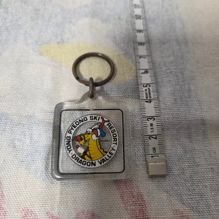 [BUNJANG] 1990s Dragon Valley Yongpyong Ski Resort Keyring / 90s 드래곤 밸리 용평 스키 리조트 키링