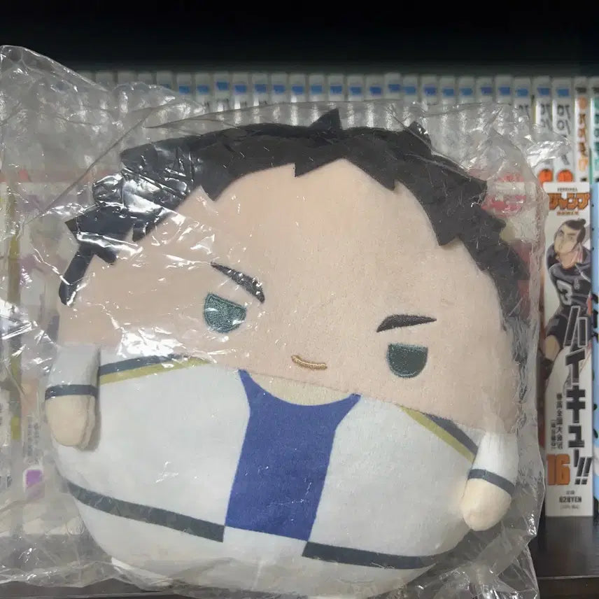 [BUNJANG] Haikyuu!! Akaashi Keiji FuwaKororin M Size / 아카아시 후와코로링M