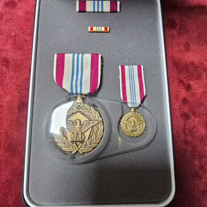 [BUNJANG] US Department of Defense Meritorious Service Medal (DMSM) with Official Navy Case / 미국 국방부 공로훈장