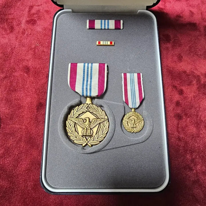 [BUNJANG] US Department of Defense Meritorious Service Medal (DMSM) with Official Navy Case / 미국 국방부 공로훈장