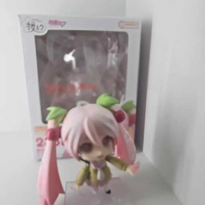 [BUNJANG] Good Smile Company Nendoroid Sakura Miku Prize B (Unsealed) / 개봉, 전시) 사쿠라 미쿠 넨도로이드 B상